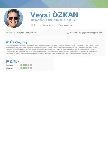 Mekatronik Mühendisliği Cv Örnekleri cv indir